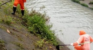 PREFEITURA REALIZA MUTIRÃO DE LIMPEZA EM IGARAPÉS