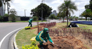 REPOSIÇÃO DE MUDAS EM ROTATÓRIA DE JARDIM ATINGIDO POR VEÍCULO