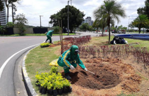 REPOSIÇÃO DE MUDAS EM ROTATÓRIA DE JARDIM ATINGIDO POR VEÍCULO