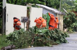 SERVIÇOS DE CAPINAÇÃO E VARRIÇÃO AVANÇAM EM ÁREA RURAL DE MANAUS
