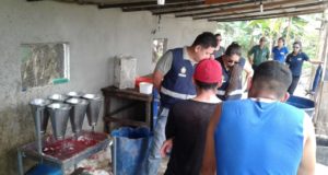 PC INDICIA POR MAUS-TRATOS MULHER QUE MANTINHA ABATEDOURO CLANDESTINO DE AVES NA RODOVIA AM-010