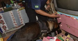 ‘Operação Nero’ para prender traficantes suspeitos de homicídios na capital é deflagrada em Manaus