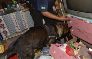 ‘Operação Nero’ para prender traficantes suspeitos de homicídios na capital é deflagrada em Manaus