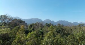 Desmatamento da Mata Atlântica no último ano foi o menor desde 1985