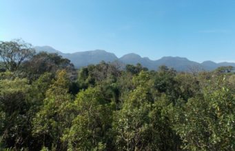 Desmatamento da Mata Atlântica no último ano foi o menor desde 1985