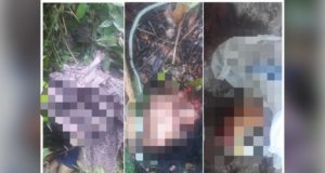 CENA DE TERROR: Polícia encontra cadáveres decapitados em matagal, na Zona Norte