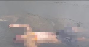 Em Manaus, cadáver é achado boiando em igarapé do Mindu