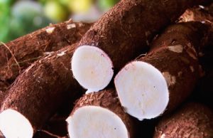 Sepror abre inscrições para curso de cultivo de mandioca no Amazonas