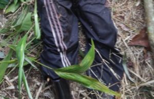 Filho do prefeito de Manicoré é encontrado morto