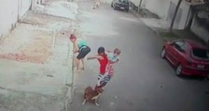 Vídeo: Homem salva criança de 5 anos de ataque de pitbull