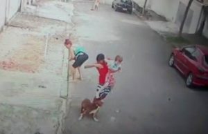 Vídeo: Homem salva criança de 5 anos de ataque de pitbull