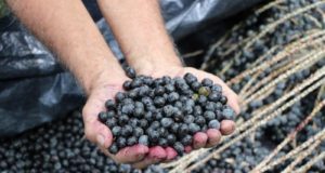 Expedição da Agricultura Familiar coloca em evidência atividades produtivas do interior