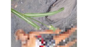 Com cabeça raspada e degolada, corpo de mulher é encontrando desovado em igarapé