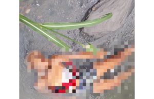 Com cabeça raspada e degolada, corpo de mulher é encontrando desovado em igarapé
