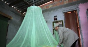 Casos de malária tem redução em Manaus