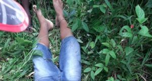 Menino de 13 anos é morto por caseiro ao entrar em sítio para colher rambutã, no AM