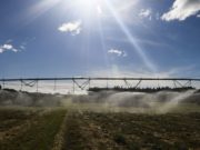 Valor da produção agropecuária de 2019 atinge recorde de R$ 630,9 bi