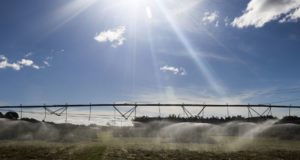 Valor da produção agropecuária de 2019 atinge recorde de R$ 630,9 bi
