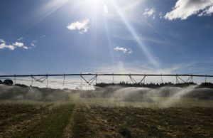 Valor da produção agropecuária de 2019 atinge recorde de R$ 630,9 bi