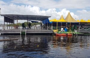 Ipaam multa, embarga e descobre maus-tratos a animais em flutuantes de Manaus