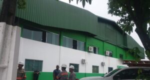 Quadra de Escola de Samba Reino Unido da Liberdade é flagrada com ligação clandestina: “miau”