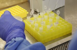 Testes em brasileiros trazidos da China dão negativos para coronavírus