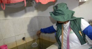 Trabalho integrado resulta em menos bairros vulneráveis ao Aedes aegypti