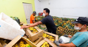 80 toneladas de alimentos são doados para 150 instituição filantrópicas do AM