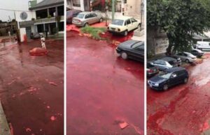 Tanque estoura e derrama 500 mil litros de sangue na rua