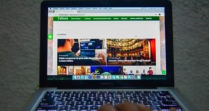 Lives solidárias arrecadam doações para artistas no Amazonas