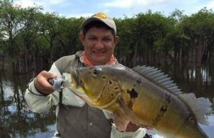 Coronavírus já matou 4.535 pessoas no BrasilNúmeros não param de crescer