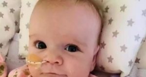Bebê com problemas no coroação, vence coronavírusPara sobreviver, o pequeno de seis meses precisou de um respirador mecânico, pois nasceu com Tetralogia de Fallot