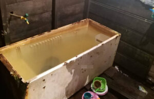 No AM, pais são presos por torturar e afogar filha de 3 anos em geladeira