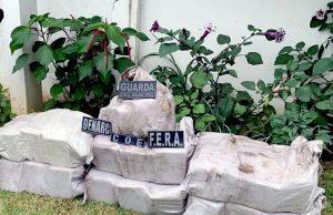 Colombiano é preso com 136 quilos de skunk em BarcelosO indivíduo ficará custodiado na carceragem daquela unidade policial, à disposição da Justiça