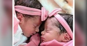 Gêmeas de 26 dias morrem após serem atacadas por cachorro da famíliaAnne e Analú foram enterradas no final da tarde, no cemitério da Saudade Dois