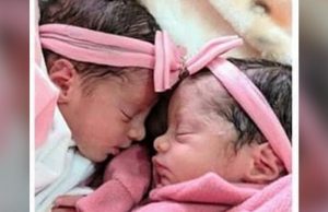 Gêmeas de 26 dias morrem após serem atacadas por cachorro da famíliaAnne e Analú foram enterradas no final da tarde, no cemitério da Saudade Dois