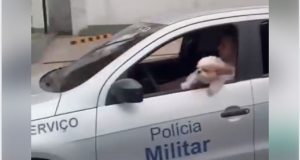 Policial e cão saem para dar rolezinho na viatura da PM em ManausIsso não tá certo