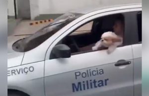 Policial e cão saem para dar rolezinho na viatura da PM em ManausIsso não tá certo