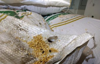 Justiça suspende interdição de cervejaria e considera ilegal vistoria