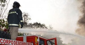 Em Manaus, verão chegou e incêndios em vegetações fazem Bombeiros trabalhar dobrado
