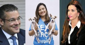 Josué Neto chama Joana Darc de Alessandra Campelo e irrita defensora dos cachorrosDesceu do salto