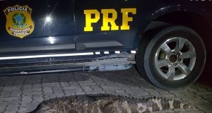 Jacaré é encontrado morto dentro de porta-malas na BR-174Crime ambiental