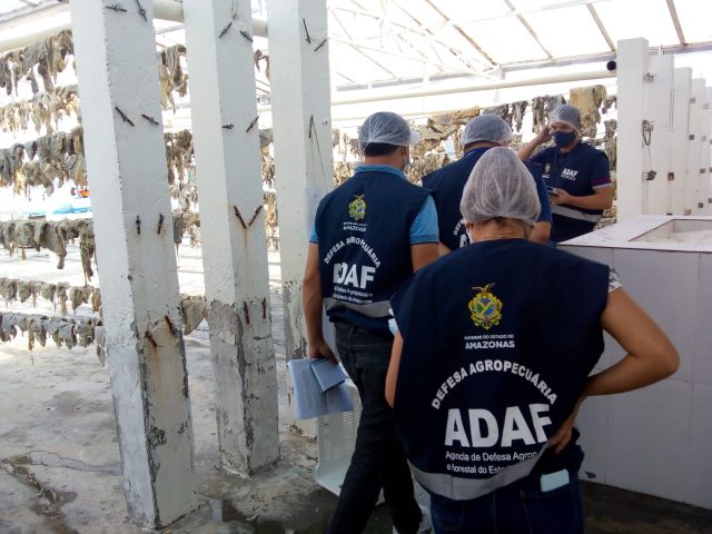 DIVULGAÇÃO Adaf (4)
