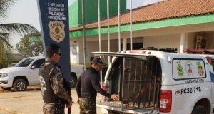 Em Eirunepé, homem que matou rival com cinco facadas no Carnaval é presoOperação Chacal 2