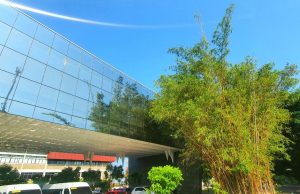 TCE-AM firma acordo com a Abin para cruzamento de dadosO acordo foi aprovado por unanimidade