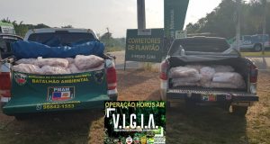 Dupla é detida transportando pescado ilegal na estrada Manoel Urbano800 quilos de pescado