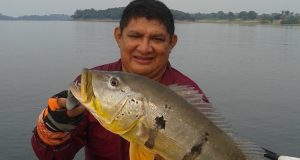 Amazonas atinge nesta sexta a triste marca de 4 mil mortos por CovidTriste demais