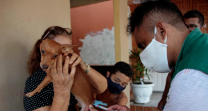 Campanha de vacinação antirrábica para cães e gatos já está nas ruas de ManausAtenção com o seu bichinho
