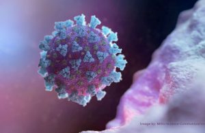 Em Singapura, bebê nasce com anticorpos da covid-19Estudo está em andamento nos hospitais públicos da cidade-Estado