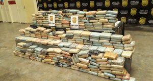 Polícia apreende 300 kg de maconha avaliada em quase R$ 1 milhão, na Cidade NovaO material estava escondido no banheiro de uma casa, que teria sido abandonada antes da chegada dos investigadores